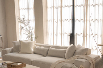 DAMBO - ,